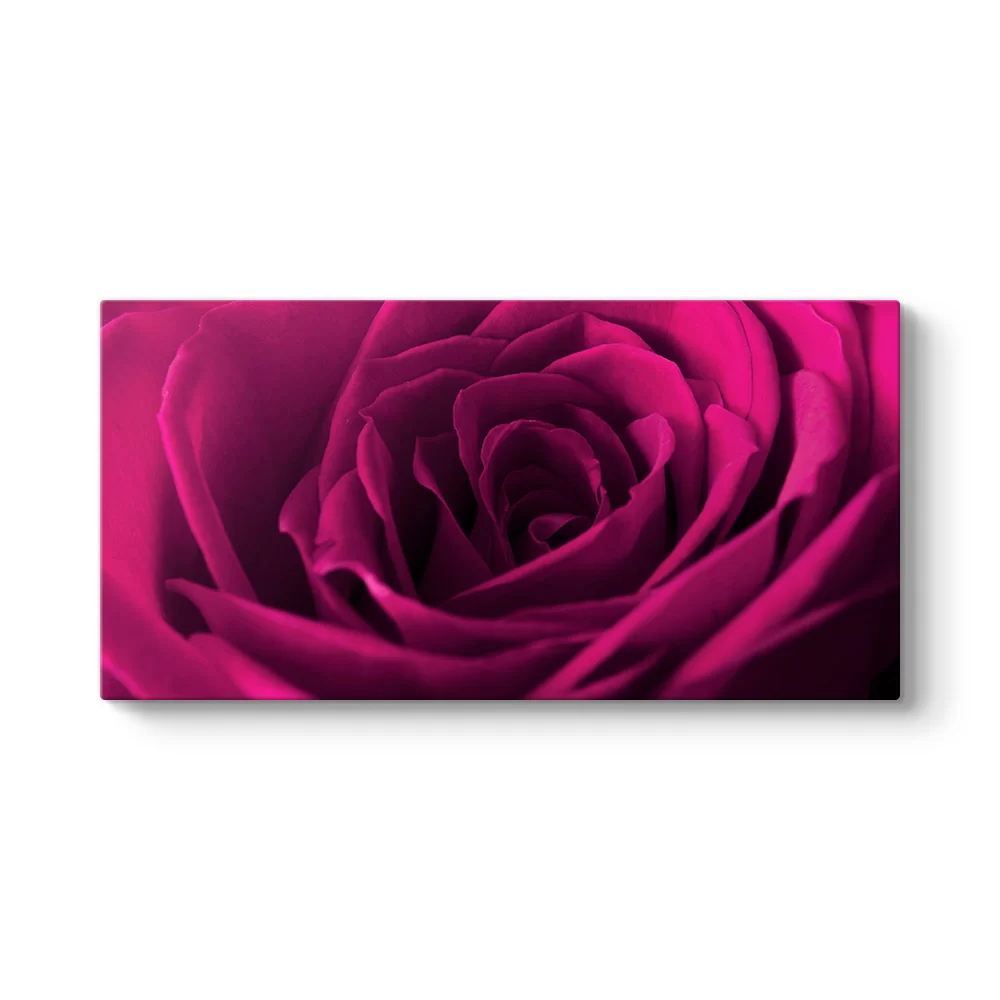 Bordo Gül Tablosu - Model 5
